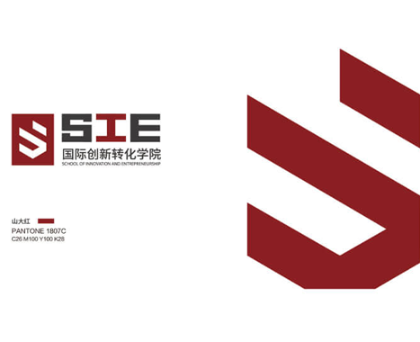 山東大學(xué)（國際創(chuàng)新轉(zhuǎn)化學(xué)院）